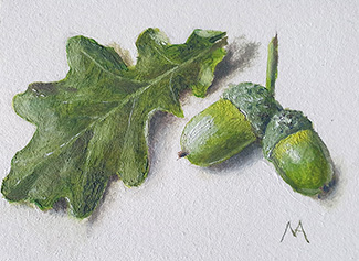 'Oak Leaf and Acorns' - ACEO sized still life oil painting by Matthew Allton