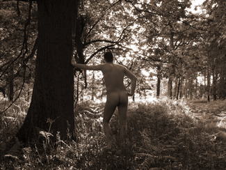 Male Nude in Woodland by matthew Allton