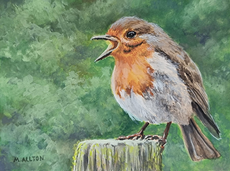 'Robin' - Gouache Painting by Matthew Allton