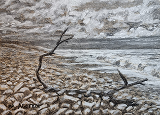 'Driftwood' - Charcoal and pastel pencil sketch by Matthew Allton