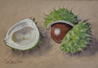 'Horse Chestnuts' - Original gouache painting by Matthew Allton